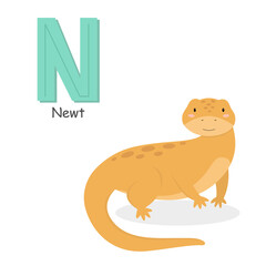 Letter N and a cute cartoon newt. Children's English alphabet. It is suitable for the design of postcards, books, leaflets, banners, birthday invitations. Colorful vector illustration