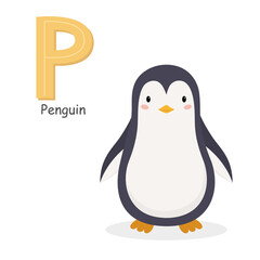 Letter P and a cute cartoon penguin. Children's English alphabet. It is suitable for the design of postcards, books, leaflets, banners, birthday invitations. Colorful vector illustration