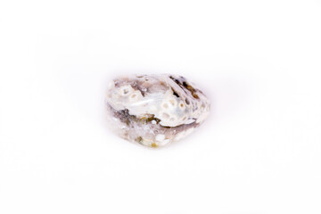 Macro mineral stone Jasper oceanic on a white background