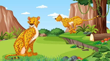 Cheetah in forest or rainforest at daytime scene © blueringmedia