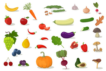 Big fruit vector set. Modern flat design. Isolated objects. Fruit icons.