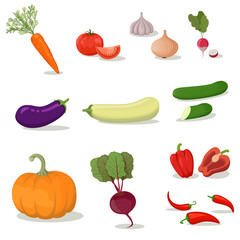 Bright vector illustration of colorful vegetables. Fresh cartoon organic vegetable isolated on white background used for magazine, book, poster, card, menu cover, web pages.