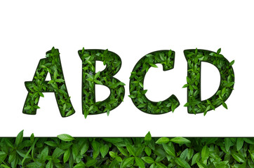 Flower font Alphabet a, b, c, d made of Real alive flowers with Precious paper cut shape of letter.