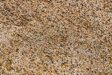 Textura de roca de playa con manchas