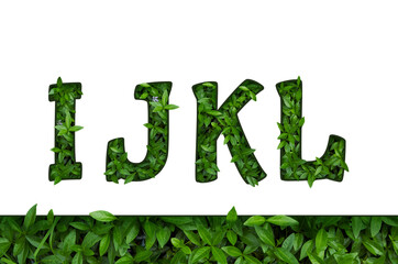 Flower font Alphabet I, j, k, l made of Real alive flowers with Precious paper cut shape of letter.