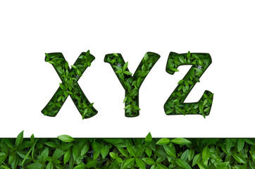 Flower font Alphabet X, Y, z made of Real alive flowers with Precious paper cut shape of letter.