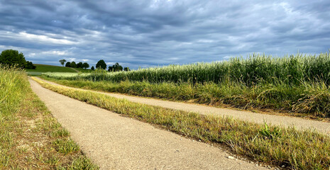 Feldweg mit bewölktem Himmel
