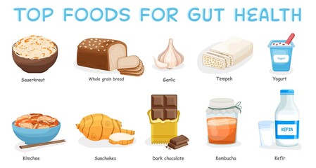 Top foods for gut health. Healthy products collection.
