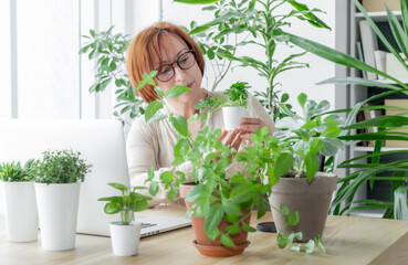 laptop woman greens plant greenhouse workplace online meeting houseplant