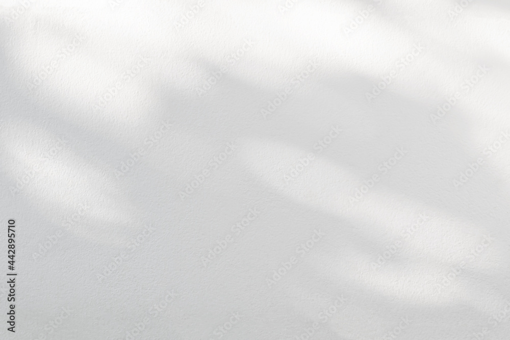Poster leaves shadow and light blurred background with light bokeh, natural leaves tree branch on white wal