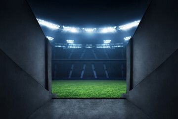 Professional soccer field stadium entrance - obrazy, fototapety, plakaty