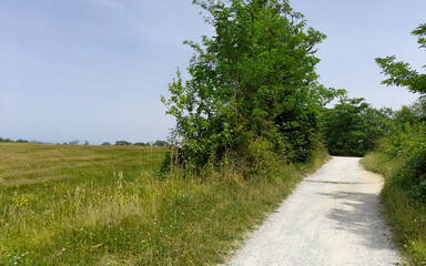 Pista ciclopedonale in campagna in estate