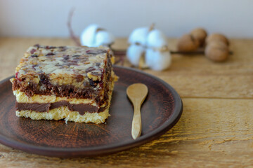 Piece of delicious chocolate walnut cake on a clay plate. Next to it are walnuts and a cotton twig