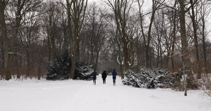 People joggin through a parc covered in snow. Wintertime in Berlin with snowfall