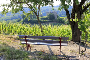 Vallée du Rhône Vignes vignoble du Côtes du Rhône secteur Crozes-hermitage Drôme Auvergne Rhône Alpes France