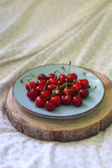 Plate with fresh cherries, served on a bed. Selective focus.