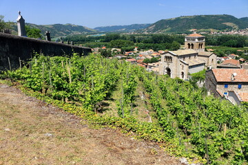 Fototapeta na wymiar Vallée du Rhône Village traditionnel Vignes vignoble du Côtes du Rhône Auvergne Rhône Alpes France