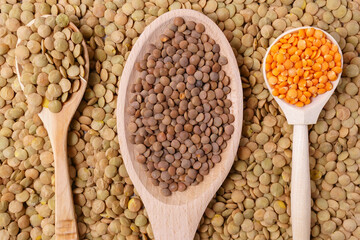uncooked lentils background texture. the view from the top. healthy and healthy food