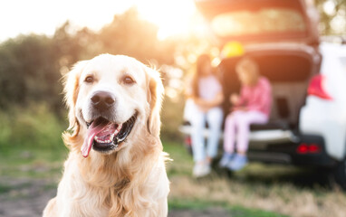 Golden retriever dog on foreground and girls in open car trunk resting on nature at sunset