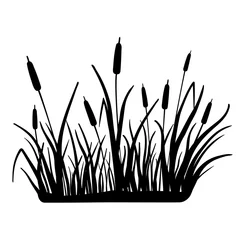Foto op Plexiglas Real reed silhouette. Vector illustration isolated on white background. Plants on the swamp and river. © Elena
