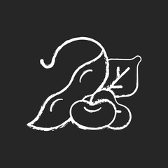 Edamame chalk white icon on dark background. Natural vegetables. Versatile food crops. Healthy vegetarian snacks. Plant based meals. Nutrition source. Isolated vector chalkboard illustration on black