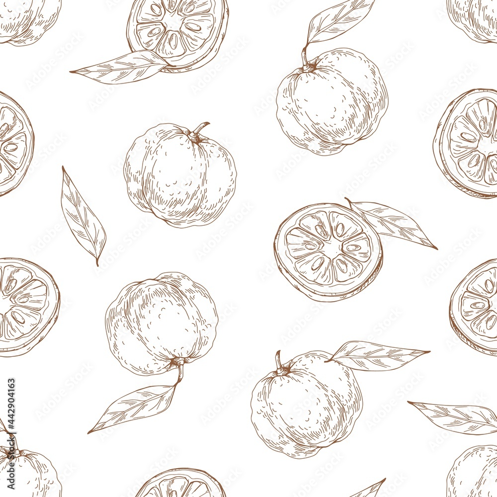 Poster seamless outlined pattern with yuzu fruit and leaves on white background. endless repeatable engrave