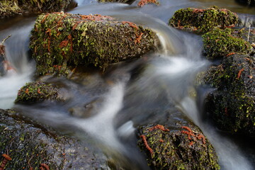 Wasser in einem Bach eines Gebirges flie&szlig;t &uuml;ber Steine ins Tal (Westerwald)