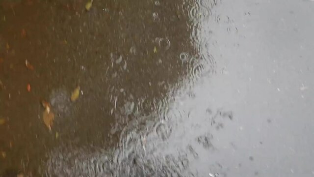 雨の日に水溜りのある遊歩道を歩く雨合羽と長靴を履いた男性の足もと