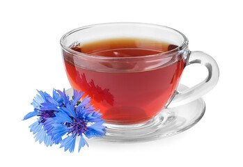 Cornflower tea and fresh flowers on white background