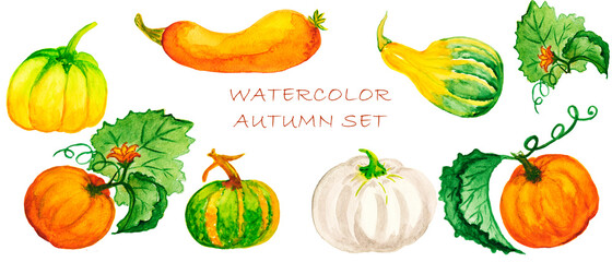 Watercolor pumpkin and autumn  Black tree branch,leaves..Thanksgiving Pumpkin. Holiday isolated painted illustration on white background.