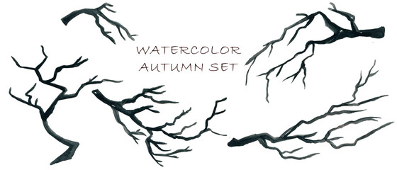 Watercolor pumpkin and autumn  Black tree branch,leaves..Thanksgiving Pumpkin. Holiday isolated painted illustration on white background.