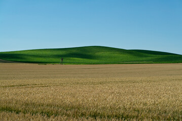 Village from drone aerial view. Beautiful village with houses and fields in Nysa, Poland. Polish farmland