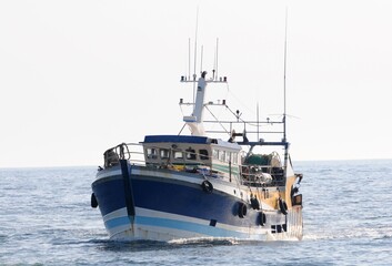 Arrivage des bateaux de pêche dans le port du Guilvinec en pays Bigouden Finistère Cornouaille Bretagne France	