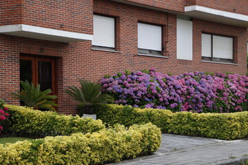 Vegetation in an private garden