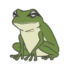 カエルのイラスト