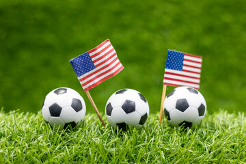 Soccer balls with Flag of America on green grass