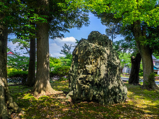 Big rock in a park (Yahiko park, Yahiko, Niigata, Japan)