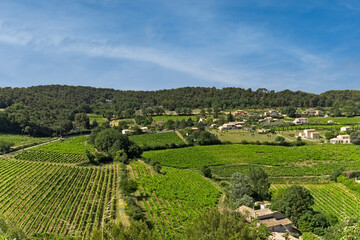 vue de vignes et champs autour de Vaison-la-romaine