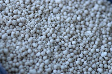 garden fertilizer particles macro photo