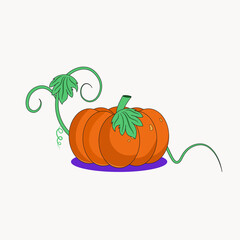 Pumpkin with a vine and leaves is colored in a cartoon style. A symbol of the harvest, autumn, holiday, Halloween, vegetarianism and proper nutrition. Vector flat illustration of vegetables