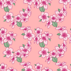 Seamless floral pattern, apple flowers light botanical vector background illustration