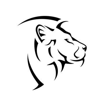 wild african lion side view portrait - big cat profile head black and white vector design