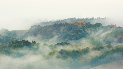 Fog and clouds rising from an autumn forest