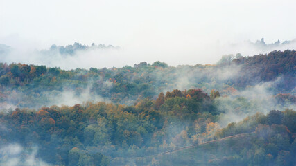 Fog and clouds rising from an autumn forest