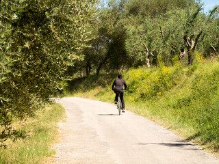 Obraz premium Italia, Toscana, Grosseto, Monte Amiata, il paese di Castel del Piano.