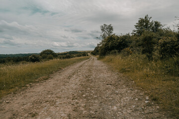 Lonely Nature Walkway