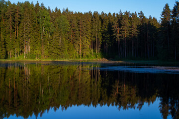 Lake by the forest with perfectly clear water, reflecting green trees and blue sky