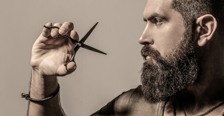 Obraz premium Barber scissors. Vintage barbershop, shaving. Male in barbershop, haircut, shaving. Bearded man isolated on gray background