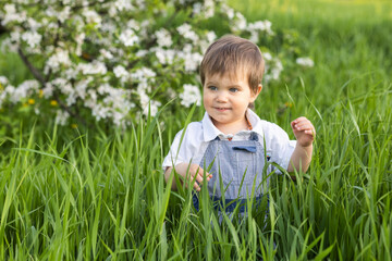 A cute child in a blue overalls and blue eyes plays funny in the tall green grass in a green blooming park