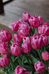 Beautiful fresh tulmans in a pot near a country house